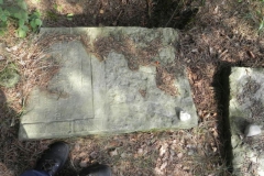 2011-08-07 Inowłódz - cmentarz żydowski (66)