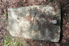 2011-08-07 Inowłódz - cmentarz żydowski (67)