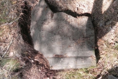 2011-08-07 Inowłódz - cmentarz żydowski (68)