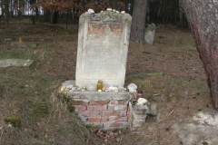 2014-04-06 Inowłódz - cmentarz żydowski (2)