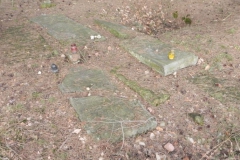 2014-04-06 Inowłódz - cmentarz żydowski (4)