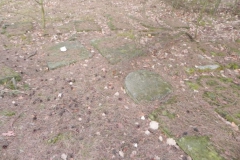 2014-04-06 Inowłódz - cmentarz żydowski (5)