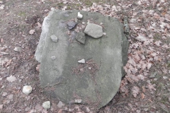 2018-01-14 Inowłódz - cmentarz żydowski (1)