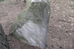 2018-01-14 Inowłódz - cmentarz żydowski (3)