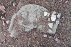 2018-01-14 Inowłódz - cmentarz żydowski (5)