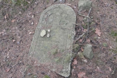 2018-01-14 Inowłódz - cmentarz żydowski (6)