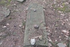 2018-01-14 Inowłódz - cmentarz żydowski (7)