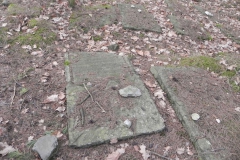 2018-01-14 Inowłódz - cmentarz żydowski (8)