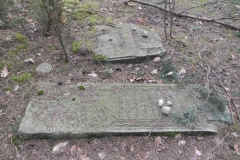 2018-01-14 Inowłódz - cmentarz żydowski (9)