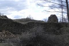 2011-04-10 Inowłódz - ruiny zamku (10)