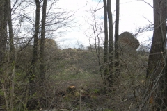 2011-04-10 Inowłódz - ruiny zamku (5)