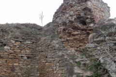 2011-04-17 Inowłódz - ruiny zamku (14)