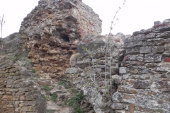 2011-04-17 Inowłódz - ruiny zamku (16)