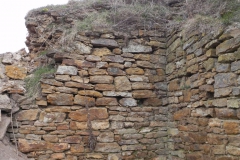 2011-04-17 Inowłódz - ruiny zamku (18)