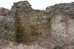 2011-04-17 Inowłódz - ruiny zamku (27)