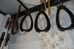 Galeria zdjęć Sochowej Zagrody (200)