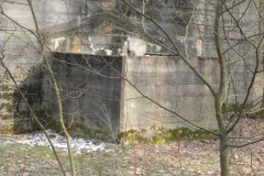 Jeleń - Bunkier Hydrofornia (56)