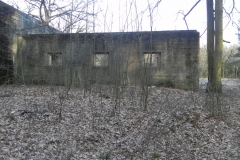 Jeleń - Bunkier Techniczny (100)