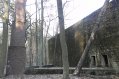 Jeleń - Bunkier Techniczny (108)