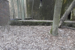 Jeleń - Bunkier Techniczny (110)