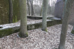 Jeleń - Bunkier Techniczny (121)