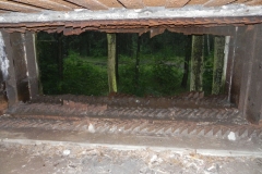 Jeleń - Bunkier Techniczny (60)