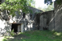 Jeleń - Bunkier Techniczny (76)