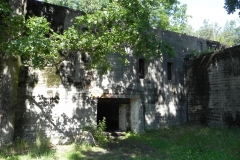 Jeleń - Bunkier Techniczny (80)