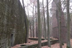 Jeleń - Bunkier Techniczny (99)