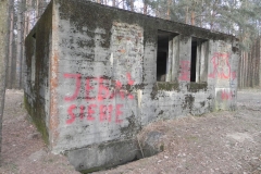 Jeleń - Bunkier Uzdatniania Wody (42)