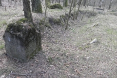 Jeleń - Bunkier Uzdatniania Wody (51)