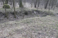 Jeleń - Bunkier Uzdatniania Wody (53)