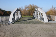 2020-10-25 Maurzyce - most (18)