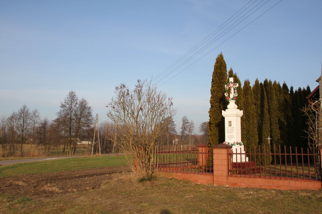 2020-02-09 Kruszewiec kapliczka nr2 (2)