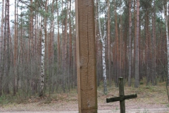 2020-02-02 Małomierz kapliczka nr1 (13)