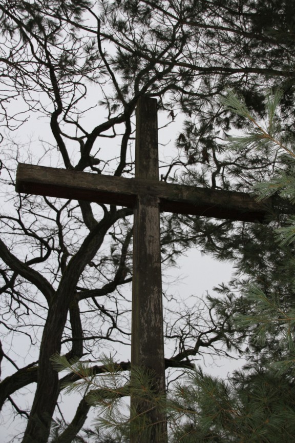 2020-12-20 Waliska krzyż nr1 (2)