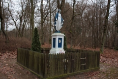 2020-12-20 Waliska kapliczka nr1 (14)