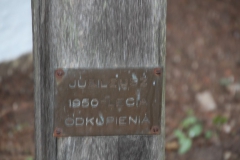 2020-12-20 Waliska kapliczka nr2 (6)