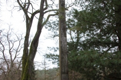 2020-12-20 Waliska krzyż nr1 (1)