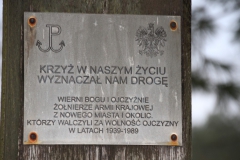 2020-12-20 Waliska krzyż nr1 (6)