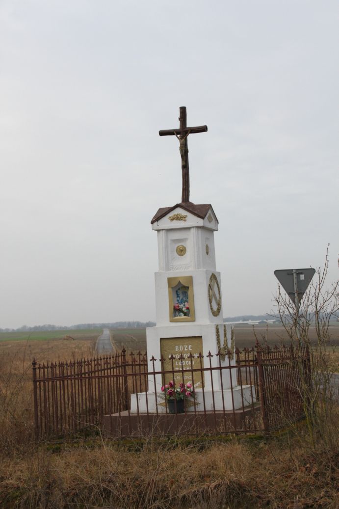 2020-01-19 Wilkowice kapliczka nr4 (3)