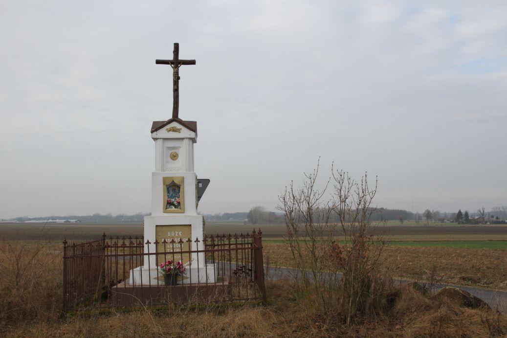 2020-01-19 Wilkowice kapliczka nr4 (4)