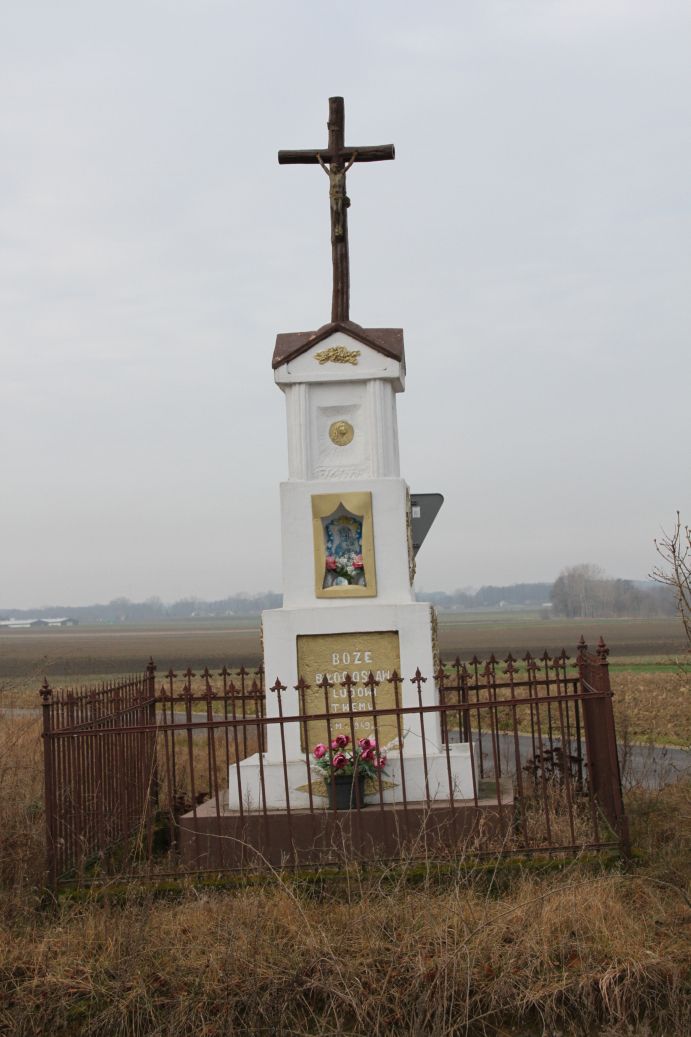 2020-01-19 Wilkowice kapliczka nr4 (5)