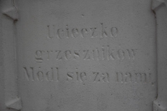2020-12-05 Wrzeszczów kapliczka nr3 (16)