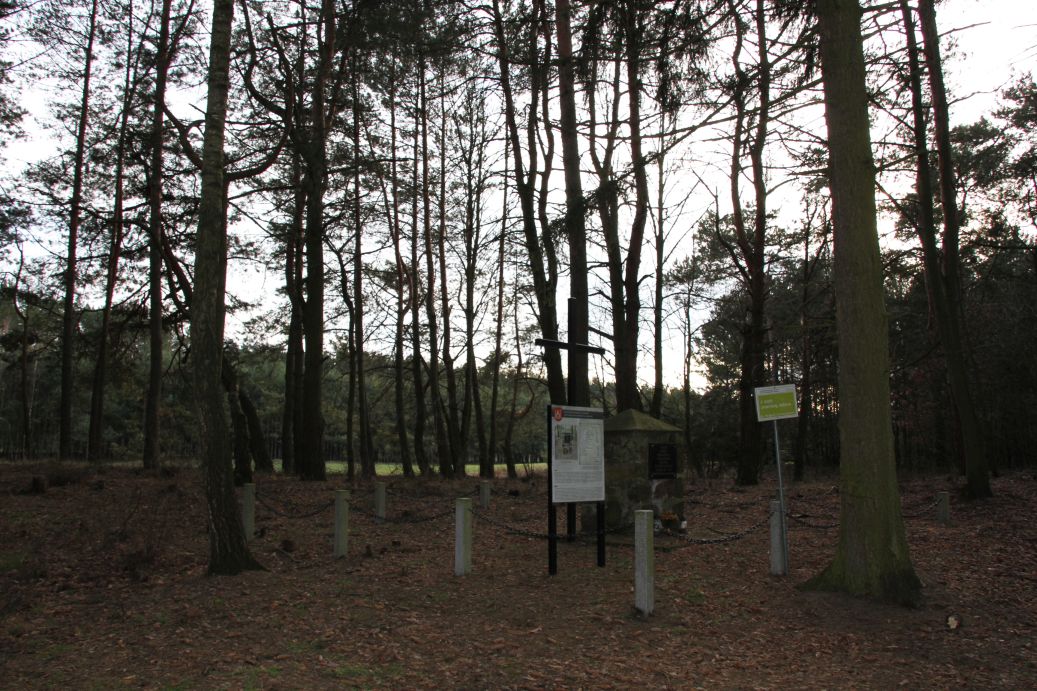 2020-03-01 Dąbrówka - cm ewang (16)