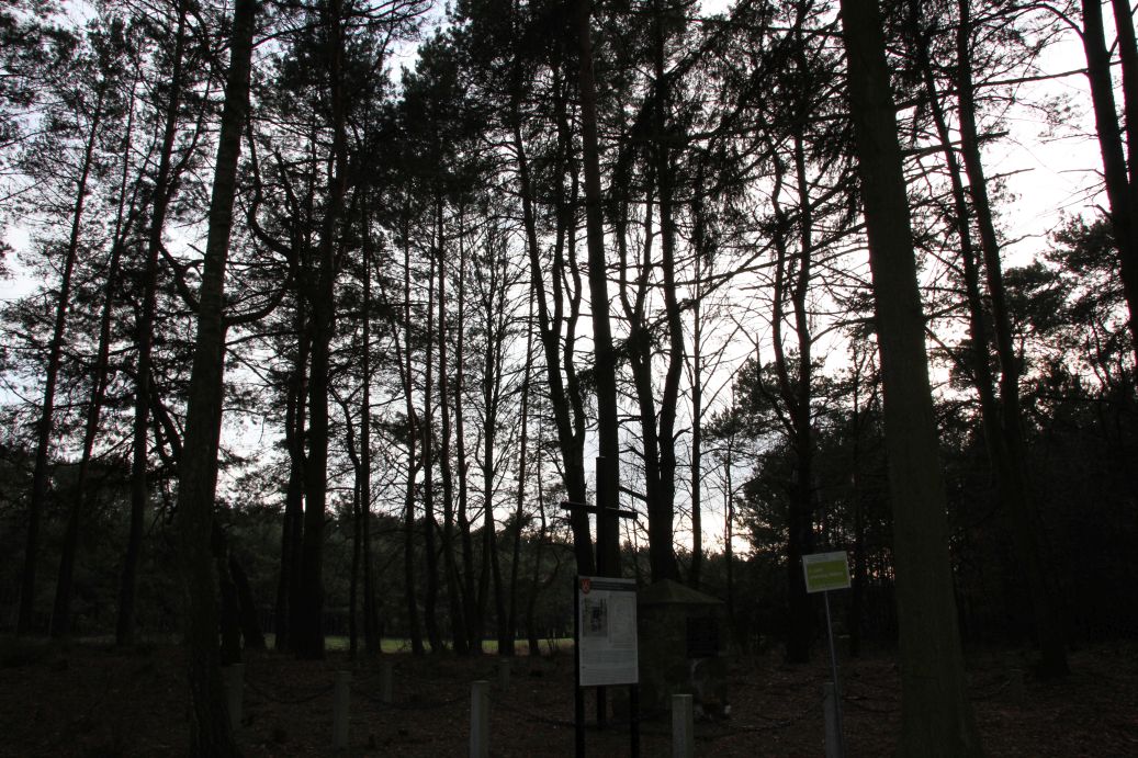 2020-03-01 Dąbrówka - cm ewang (17)