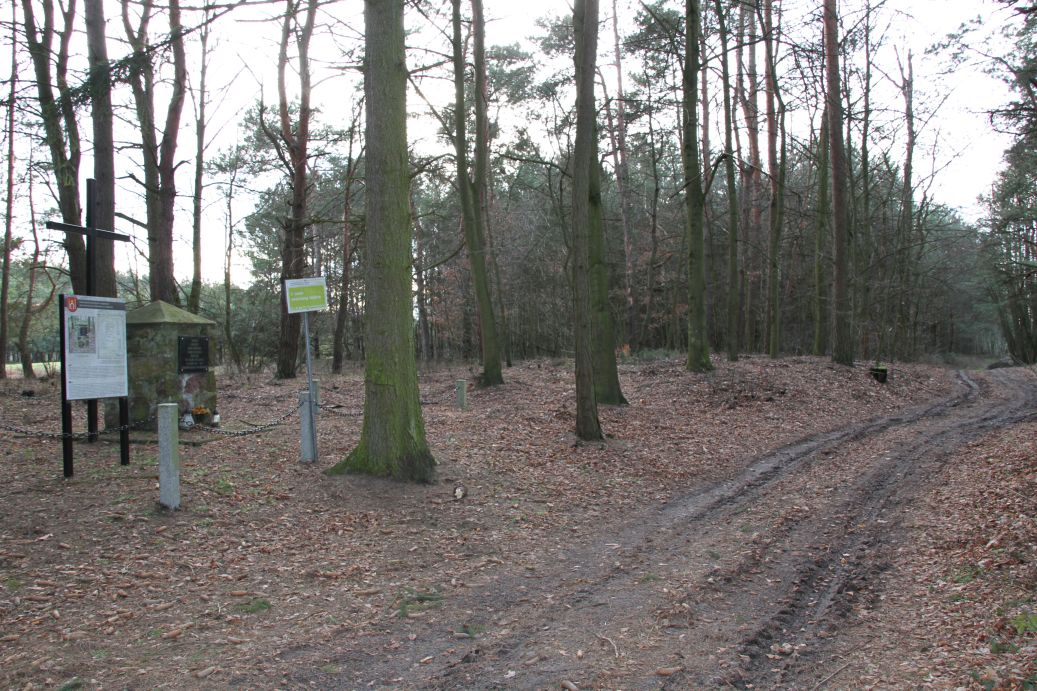 2020-03-01 Dąbrówka - cm ewang (18)