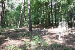 2019-08-15 Dąbrówka - cm ewang (20)