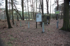 2020-03-01 Dąbrówka - cm ewang (1)