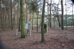 2020-03-01 Dąbrówka - cm ewang (10)